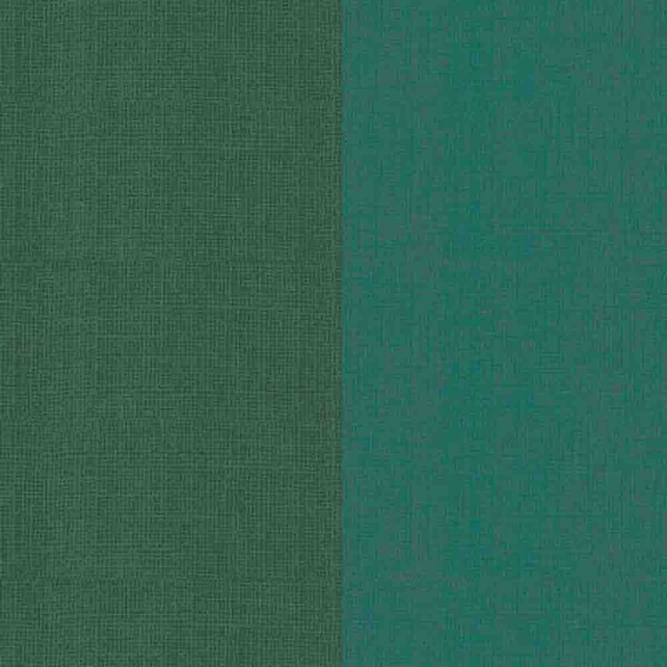 COLEÇÃO BASICS FOR ALL DIGITAL - FAIXAS DE TEXTURA - VERDE - ( 81785- VAR,08)