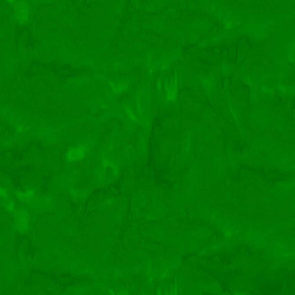 COLEÇÃO TEXTURA MARMORIZADA - TRIC. EST. DIGITAL - TEXTURA VERDE ESCURO - ( 86573 VAR26 ) - C