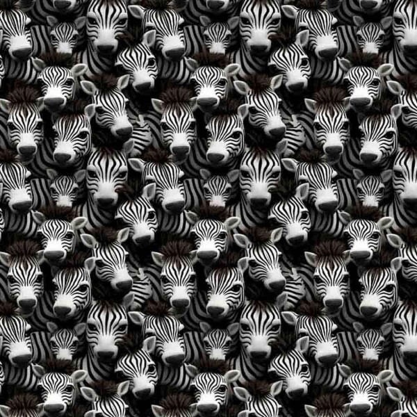 COLEÇÃO KRUGER - TRIC. EST. DIGITAL -  ZEBRA - 87090 - C