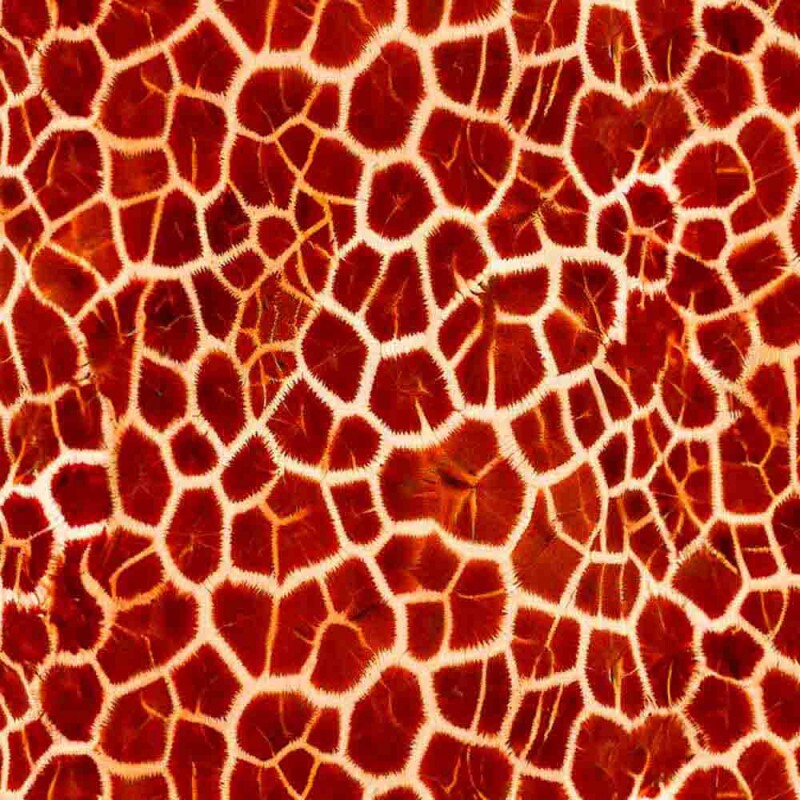 COLEÇÃO KRUGER - TRIC. EST. DIGITAL - PELE DE GIRAFA - C