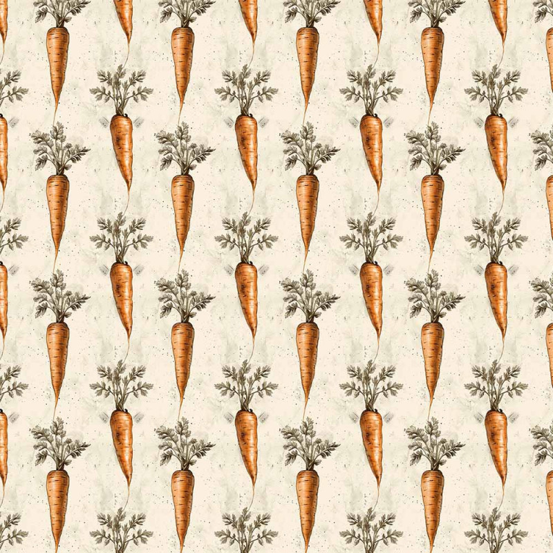 AB26 - TRICOL. COLEÇÃO VEGETABLES - CENOURA - 100% ALGODÃO - A2745-001 AB26 - TRICOL. COLEÇÃO VEGETABLES - CENOURA - 100% ALGODÃO - A2745-001