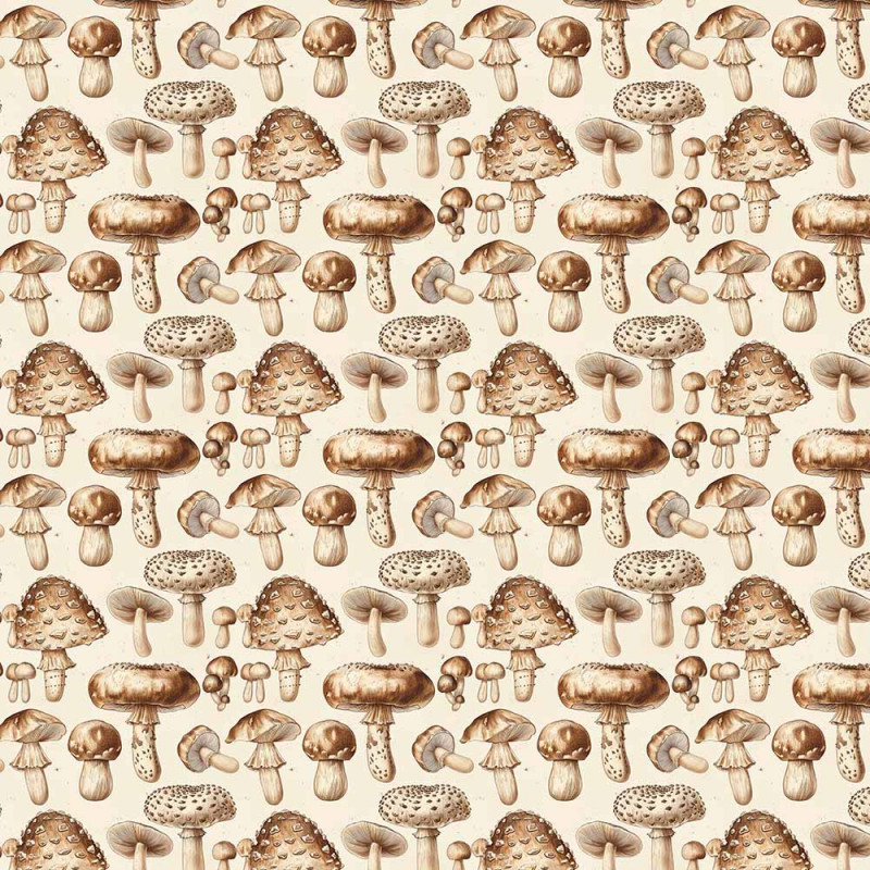 AB26 - TRICOL. COLEÇÃO VEGETABLES - COGUMELOS - 100% ALGODÃO - A2737-001 AB26 - TRICOL. COLEÇÃO VEGETABLES - COGUMELOS - 100% ALGODÃO - A2737-001