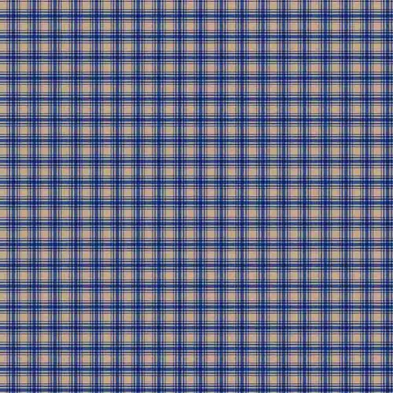 AB25 - FLANELA 100% ALGODÃO DIGITAL  -XADREZ COUNTRY 1 AZUL