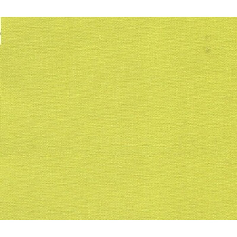 TRICOLINE LISO VERDE OLIVA FORTE