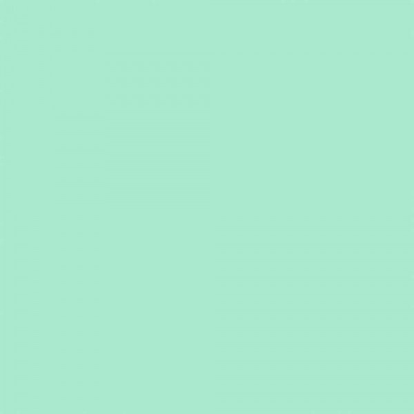 TRICOLINE LISA TINTA SUPER - VERDE MENTA