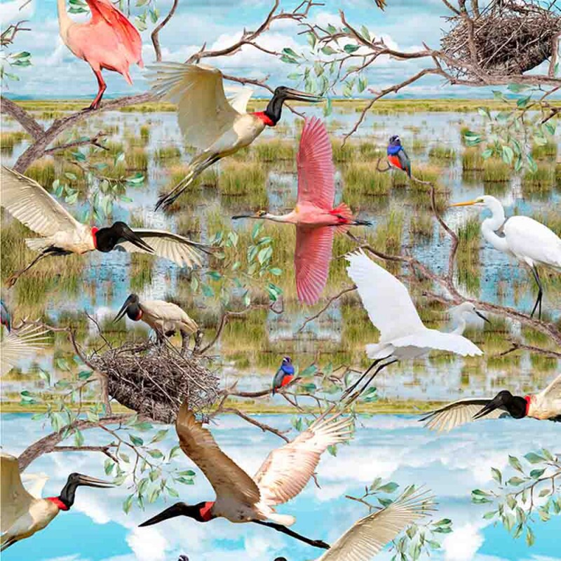 COLEÇÃO PANTANAL - TRIC. EST - DIGITAL -  TUIUIUS- ( 80395 var,01 ) - ( E8822 )