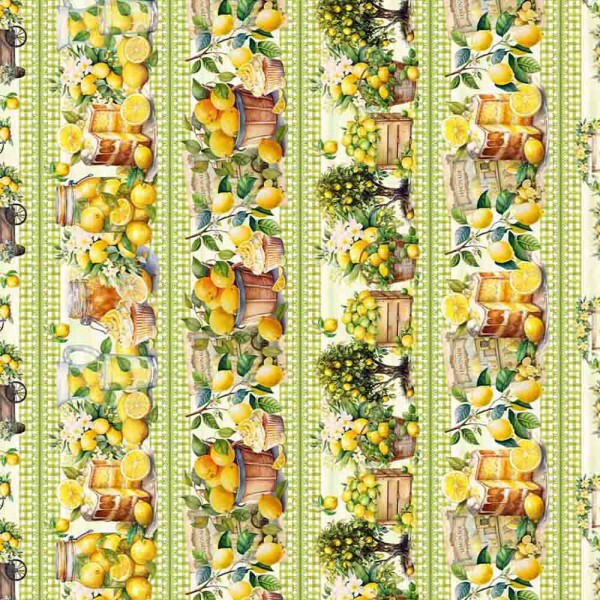 COLEÇÃO PANO PRA MANGGA - BARRADO DE LIMÃO ( 80505 VAR,01 ) - C