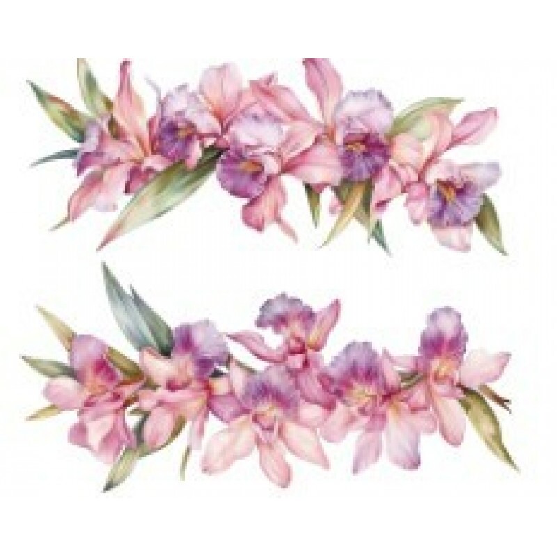 TRANSFER TEXTIL PASSE E CRIE - BARRADO DE ORQUÍDEAS