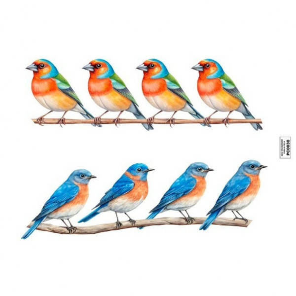 TRANSFER TEXTIL PASSE E CRIE - 4 PASSARINHOS