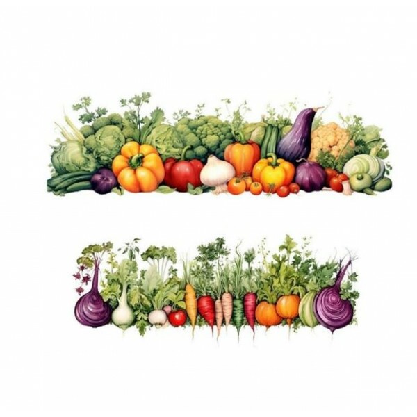 TRANSFER TEXTIL PASSE E CRIE - LEGUMES