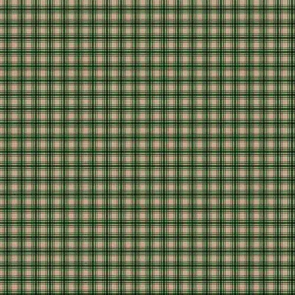 AB25 - TRICOLINE 100% ALGODÃO DIGITAL  -XADREZ COUNTRY 1 VERDE